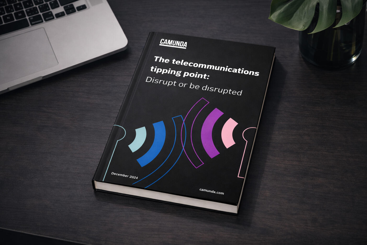 Camunda Telecommunications eBook